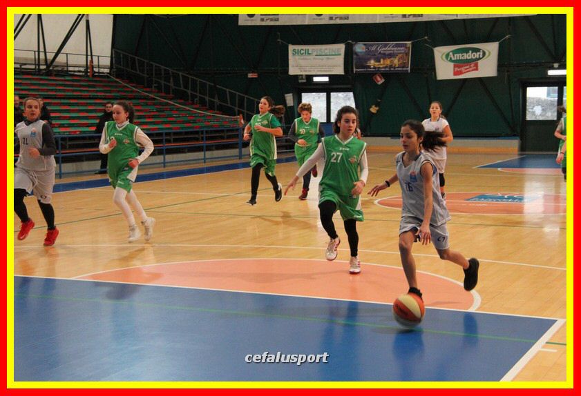 170107 basket 100_tn.jpg